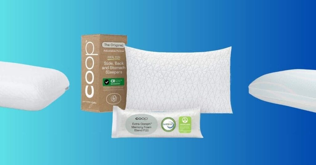 Best Memory Foam Pillows